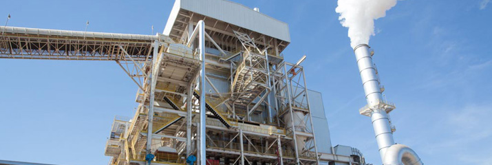 Unidade Termoelétrica da São Martinho é inaugurada