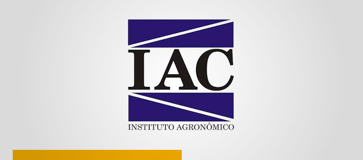 Iracema recebe curso do IAC